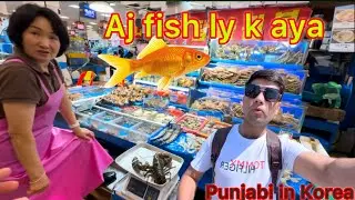 Buying Fish From the Market - An Underwater Adventure