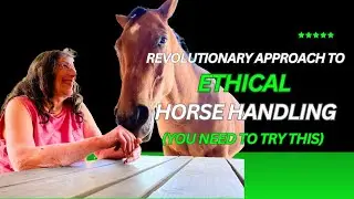 Revolutionary Approach to Ethical Horse Handling (You Need to Try This)
