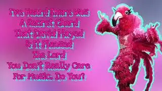 Flamingo Performs 