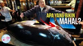 Ketika Pengusaha Berani Bayar Mahal Ikan Tuna Raksasa Hingga Miliaran