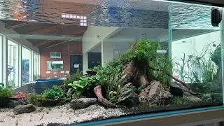 CBM Christmas Rescape Project December 2025