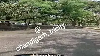@chandigarhwallah @chandigarh_tricity @beautifull place in Chandigarh #viral #shorts