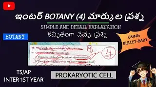 CHARACTERISTICS OF PROKARYOTIC CELL | TS INTER 1ST YEAR BOTANY 4 MARKS QUESTION GUARENTEE | TELUGU
