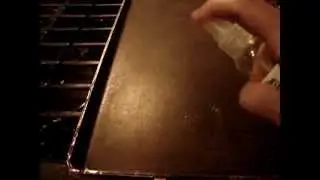 Cooking with homemade Olive Oil Spray results