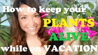 Watering Hacks | How to Keep Plants Alive While on Vacation
