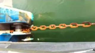 Morning commute on the King Harry Ferry