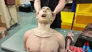 Airway Trainers