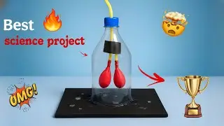Human Respiratory System Model | Easy School Science Project 2025