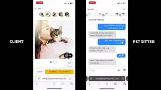 Testing the Animalhotels App: Connecting Pet Parents with Pet Sitters
