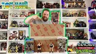 BIG Big Bad Toy Store Pile of Loot Toy Haul + Mail Call and Weekly Pickups!!!
