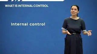 12 - Internal controls definition and objectives