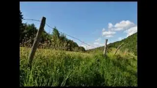 Le Bugey