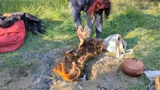 HOW WE COOK AS HOMELESS SOLAR PUNK'S FIGHTING CAPITALISM