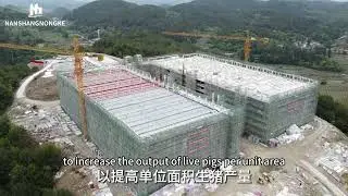 Do you know about modern farming model?| breeding model
