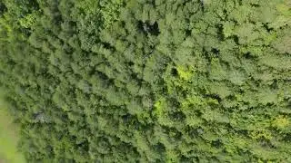 The Dance of Fearless Exploration