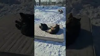 Кайфуем! Сегодня мы с тобой кайфуем!  :-) | MyStories