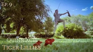 Tiger Lillies - Quinn XCII (Upbeat Violin Fusion) Ep. 9