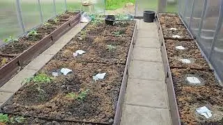 ВЛОГ 🌱 ЖУЖЖИТ ВСЯ СТАНИЦА // НАКОНЕЦ-ТО ВЫЧИСЛИЛА
