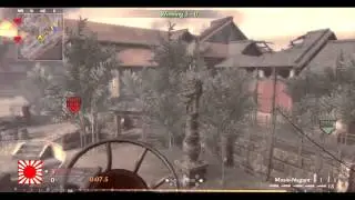 Zoaping #11