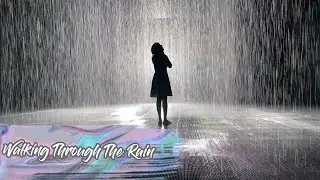 Rain Room Sharjah || Enjoy The Rain Without Getting Wet