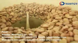Automatic Broad Bean Shelling Peeling Machine