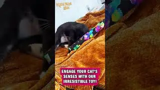 The Original KittyKickStix - 15