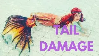 So You Want To Be a Mermaid? #34: Checking a Tail For Damage
