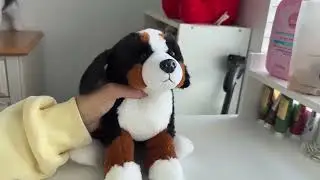 Unboxing The Newest Generation Webkinz Bernese Mountian Dog!
