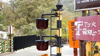 【踏切】箱根登山鉄道　おまけ両面eco警報灯がある変な音の踏切 (Railroad crossing in Japan)