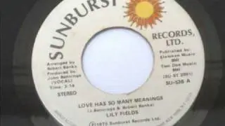 Lily Fields ~ Love Has So Many Meanings