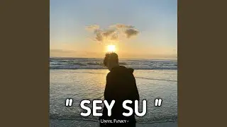 DJ SEY SU (SU TARA BISA)