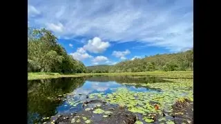 PTP Fishing - Tips for fishing Enoggera Reservoir