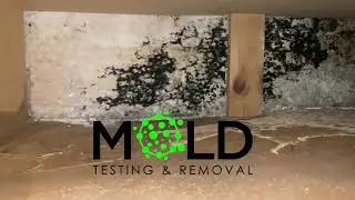 MOLD TESTING AND MOLD REMOVAL Moreno Valley CA (951)309-7807