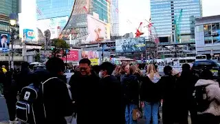 4K Walking in Shibuya, Harajuku, Omotesando and Aoyama. Tokyo, Japan. 