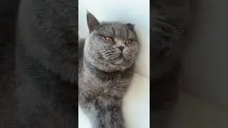 Я так устала мой тгк: 🎀Ksyunya🎀