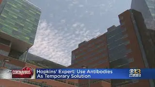 Hopkins' Expert: Use Antibodies As Temporary Solution To Coronavirus Pandemic