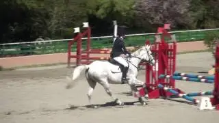 GARA EQUITAZIONE B80 LE SIEPI CERVIA - BISOU CHERI - P.C. MONTEVECCHIO