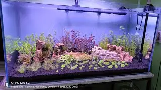 3 feet Planted tank setup. Hope you will all like the video