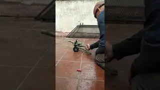 Disparo de Ca&ntilde;&oacute;n  mini Oto Melara.