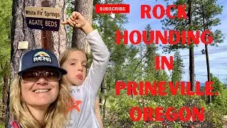 Rockhounding in Prineville, Oregon | White Fir Springs