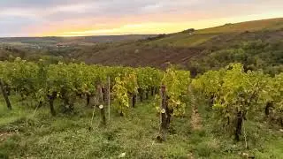 Chablis, Burgundy