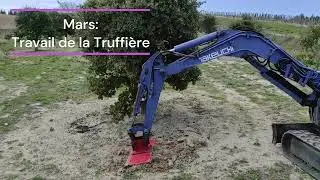 Truffiere_Mars