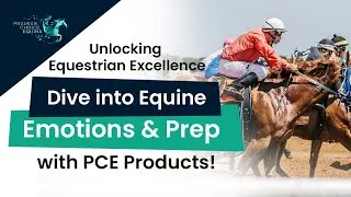 Improve Your Equestrian Performance|  Enhance Your Mind & Body with PCE Products!