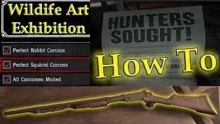 How to Complete the Wildlife Art Exhibition Stranger Quest in Red Dead Redemption 2 [First Step]