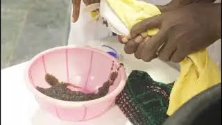Practical skills development and training of youths and women in fish farming in selected areas in O