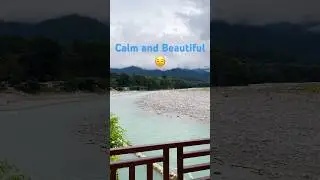 Jim Corbett in Monsoon ❤️✨ #nature #jimcorbett