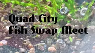 Quad City Fish Swap