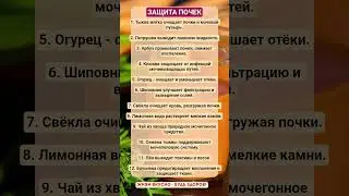 ЗАЩИТА ПОЧЕК!!! #зож #здоровье #витамины #пп #рецепты #организм #факты #шортс