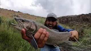 MY BIGGEST EVER!! Spillway Trout Fishing!
