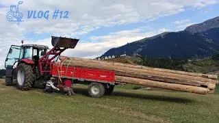Деревья как будто были немного высокими :-) | Мы с трудом привязали трейлер (VLOG # 12)